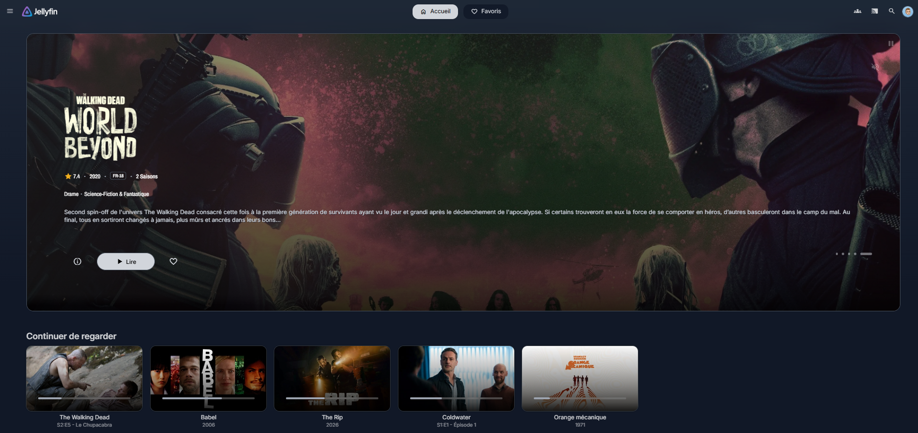 Serveur de streaming — interface Jellyfin